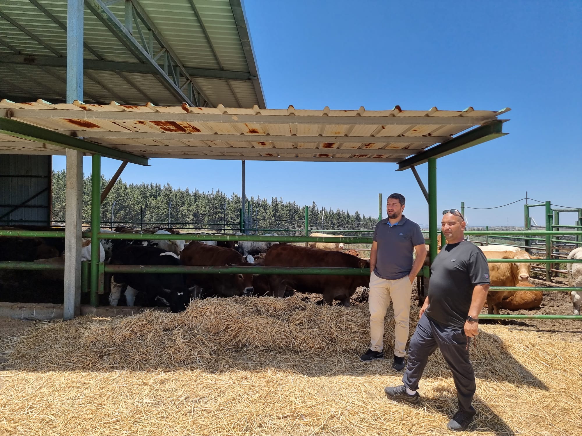 WhatsApp Image 2022-06-04 at 1.19.53 PM (2).jpeg